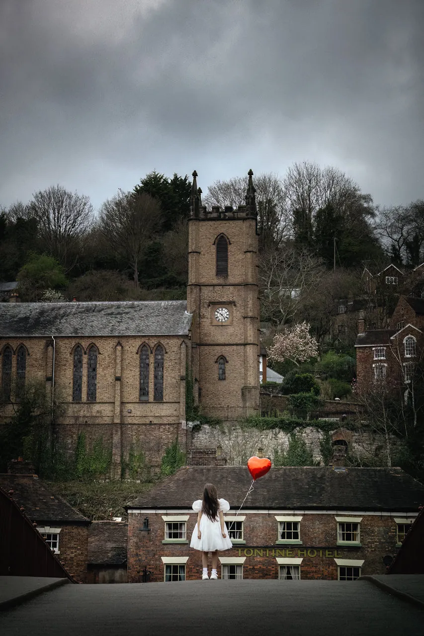 Zebu Live Invisible Wings artwork