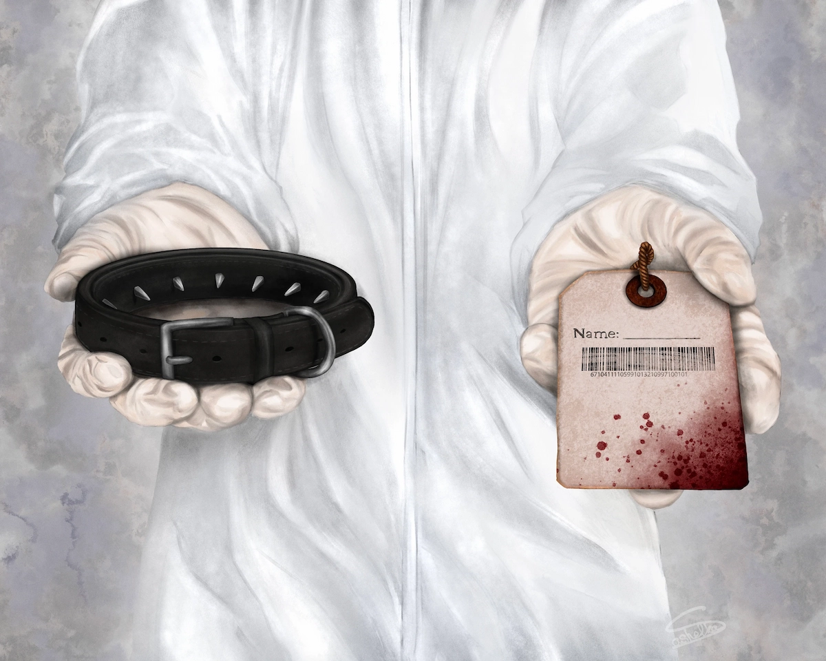 It is for Your Safety, 2026